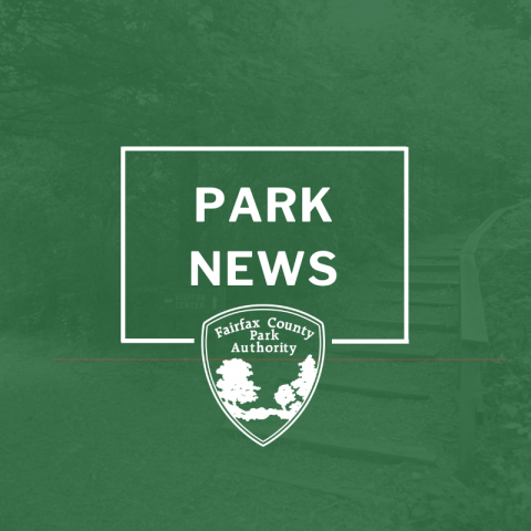 Park News Park News